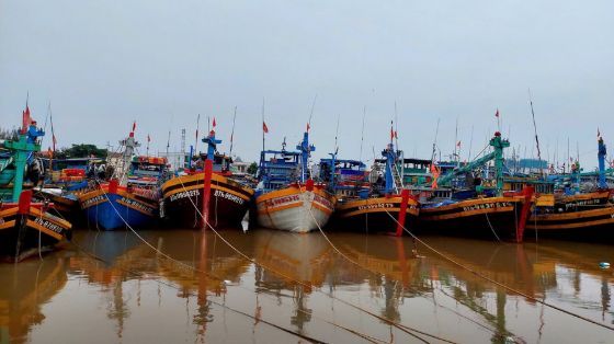 Ảnh của Lâm Đồng cấm tất cả tàu hoạt động trên biển